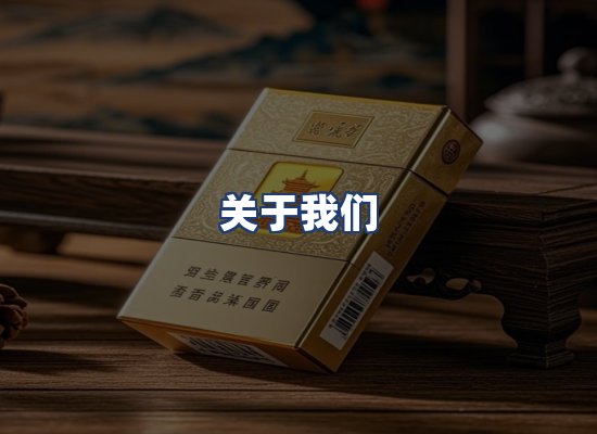 关于我们